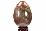 Colorful, Polished Petrified Wood Egg - Triassic #133927-1